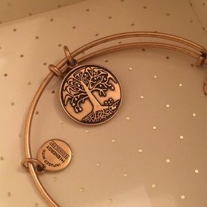 Alex & Ani Energy Bracelet 🌞
